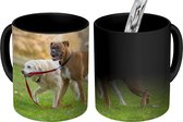 Magische Mok - Foto op Warmte Mok - Honden - Park - Dieren - 350 ML