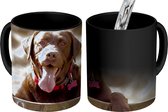 Magische Mok - Foto op Warmte Mokken - Koffiemok - Labrador Retriever die over een omheining kijkt - Magic Mok - Beker - 350 ML - Theemok