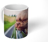 Mok - Koffiemok - Hond - Auto - Dier - Mokken - 350 ML - Beker - Koffiemokken - Theemok