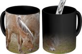 Magische Mok - Foto op Warmte Mok - Twee grazende fjord paarden in een grasveld - 350 ML