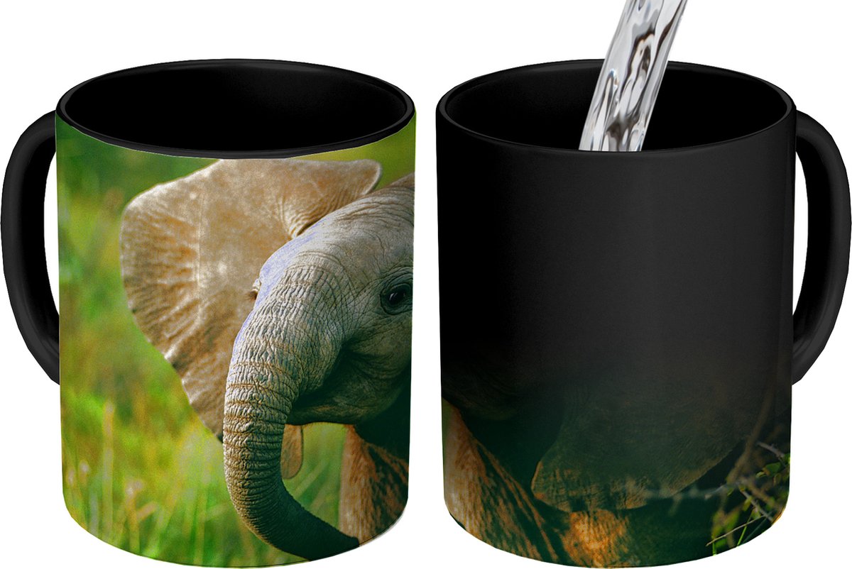 Koffiemok 51ste verjaardag hilarisch olifant