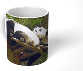 Mok - Koffiemok - Panda's - Hout - Trap - Mokken - 350 ML - Beker - Koffiemokken - Theemok