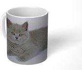 Mok - Koffiemok - Liggende Britse korthaar kitten - Mokken - 350 ML - Beker - Koffiemokken - Theemok
