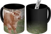 Magische Mok - Foto op Warmte Mok - Schotse Hooglander - Kalf - Bos - 350 ML