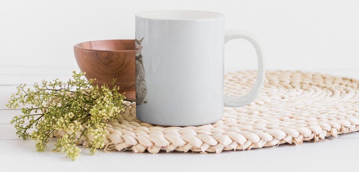 Mok - Koffiemok - Kat - Huisdieren - Vacht - Mokken - 350 ML - Beker - Koffiemokken - Theemok
