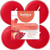 48 stuks Bolsius granaatappel - pomegranate maxi geurtheelichtjes (8 uur) clear cups True Scents