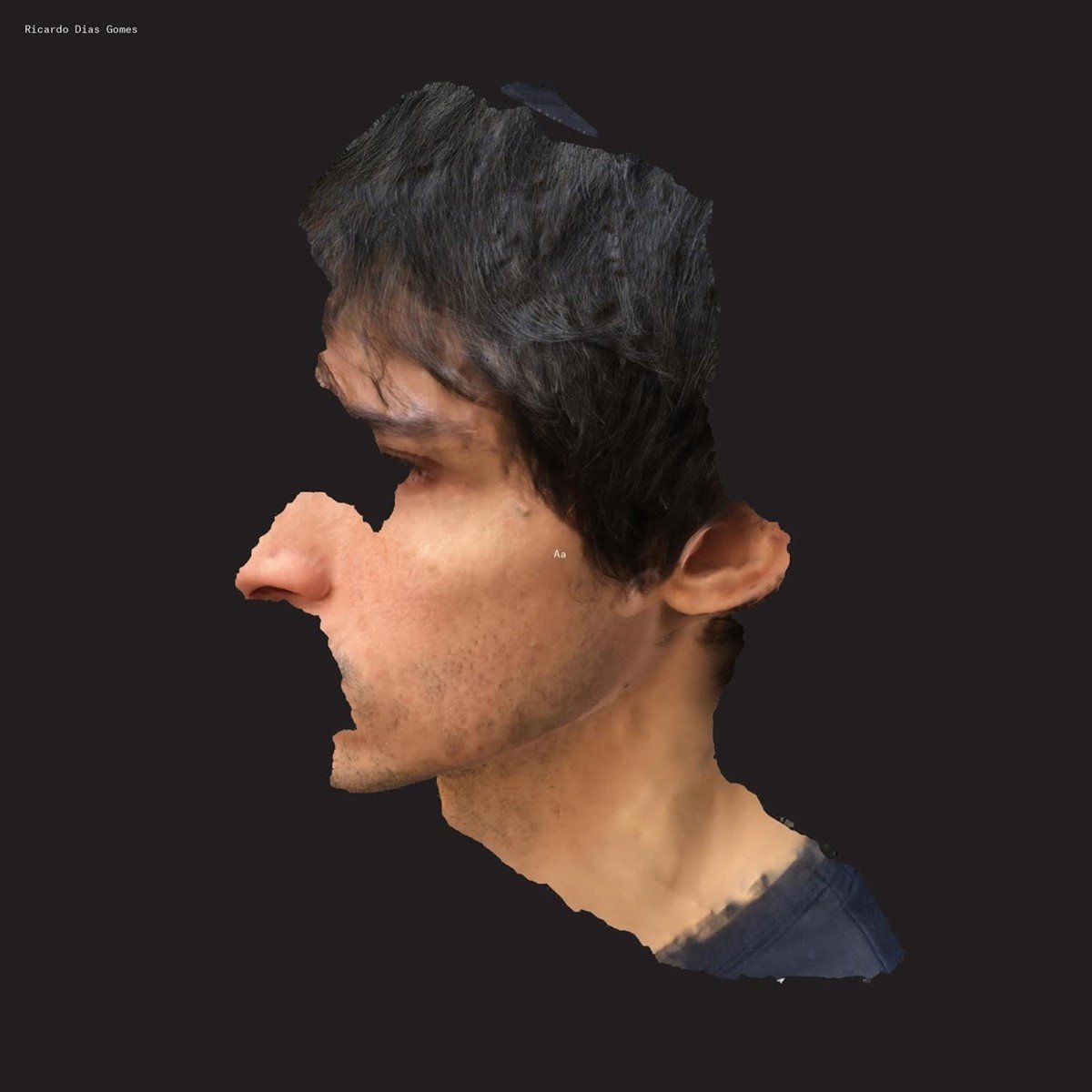 Ricardo Dias Gomes - AA (LP)