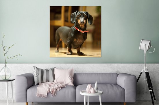 Portrait d'un teckel noir Aluminium 90x90 cm - Tirage photo sur aluminium (décoration murale métal)