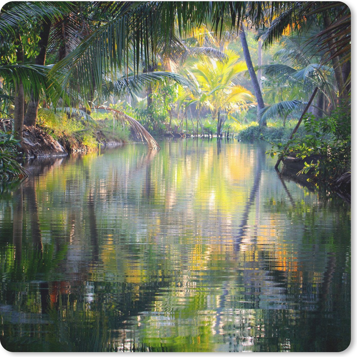 Muismat 20x20 cm - Mousepad Tropische weerspiegeling - Muismatten