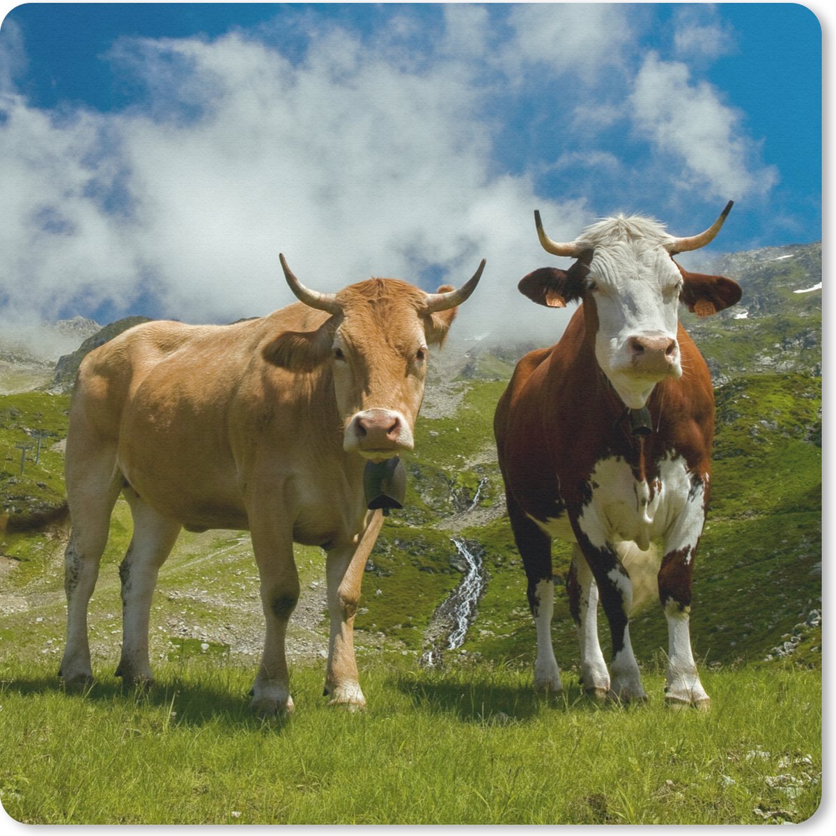 Muismat 30x30 cm - Mousepad Alpen - Koeien - Gras - Muismatten