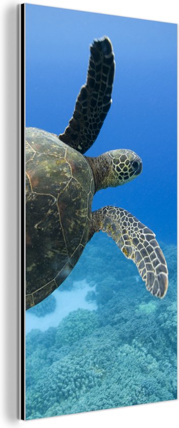 3-delige canvas print, Olijven Olijfolie