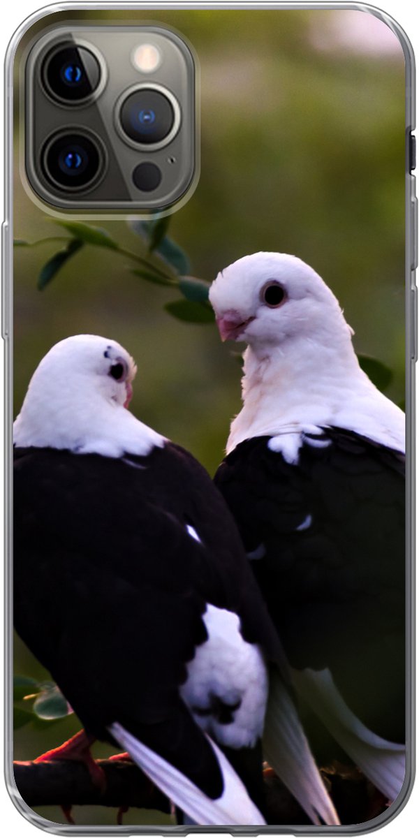 Telefoonhoesje Geschikt voor iPhone 12 Pro hoesje - Vogels - Tak - Bladeren - Siliconen Telefoonhoesje Telefoonhoesje