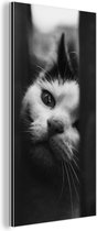 Wanddecoratie Metaal - Aluminium Schilderij Industrieel - Dierenprofiel spiekende kat in zwart-wit - 80x160 cm - Dibond - Foto op aluminium - Industriële muurdecoratie - Voor de woonkamer/slaapkamer