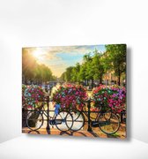 Painting Expert® Schilderen op nummer Volwassenen - Schilderen op nummer Kinderen - Amsterdam Bloemetjes - 40x50cm - Exclusief Lijst (24 kleurtjes)