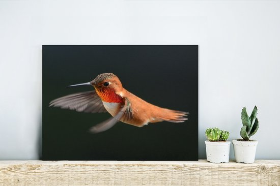 Décoration murale Métal - Peinture Aluminium - Colibri - Vogel - Ressorts - Zwart - 40x30 cm