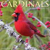 Cardinals Kalender 2022