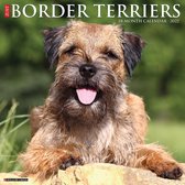Border Terrier Kalender 2022
