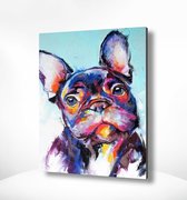Painting Expert® Schilderen op nummer Volwassenen - Schilderen op nummer Kinderen - Gekleurde Bulldog - 40x60cm - Exclusief Lijst (24 kleurtjes)