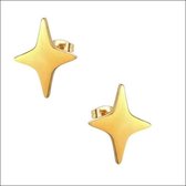 Aramat jewels ® - Zweerknopjes oorbellen ster goudkleurig chirurgisch staal 9mm x 8mm