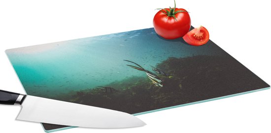 Lot De 2 Planches à Découper En Verre Trempé – Dessin Mer Et Vagues – 40x52 Cm