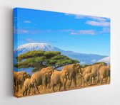 Canvas schilderij - A flock of African elephants on a safari trip to Kenya and a snow covered Mount Kilimanjaro in Tanzania under a cloudy blue sky.  -    678502927 - 50*40 Horizon