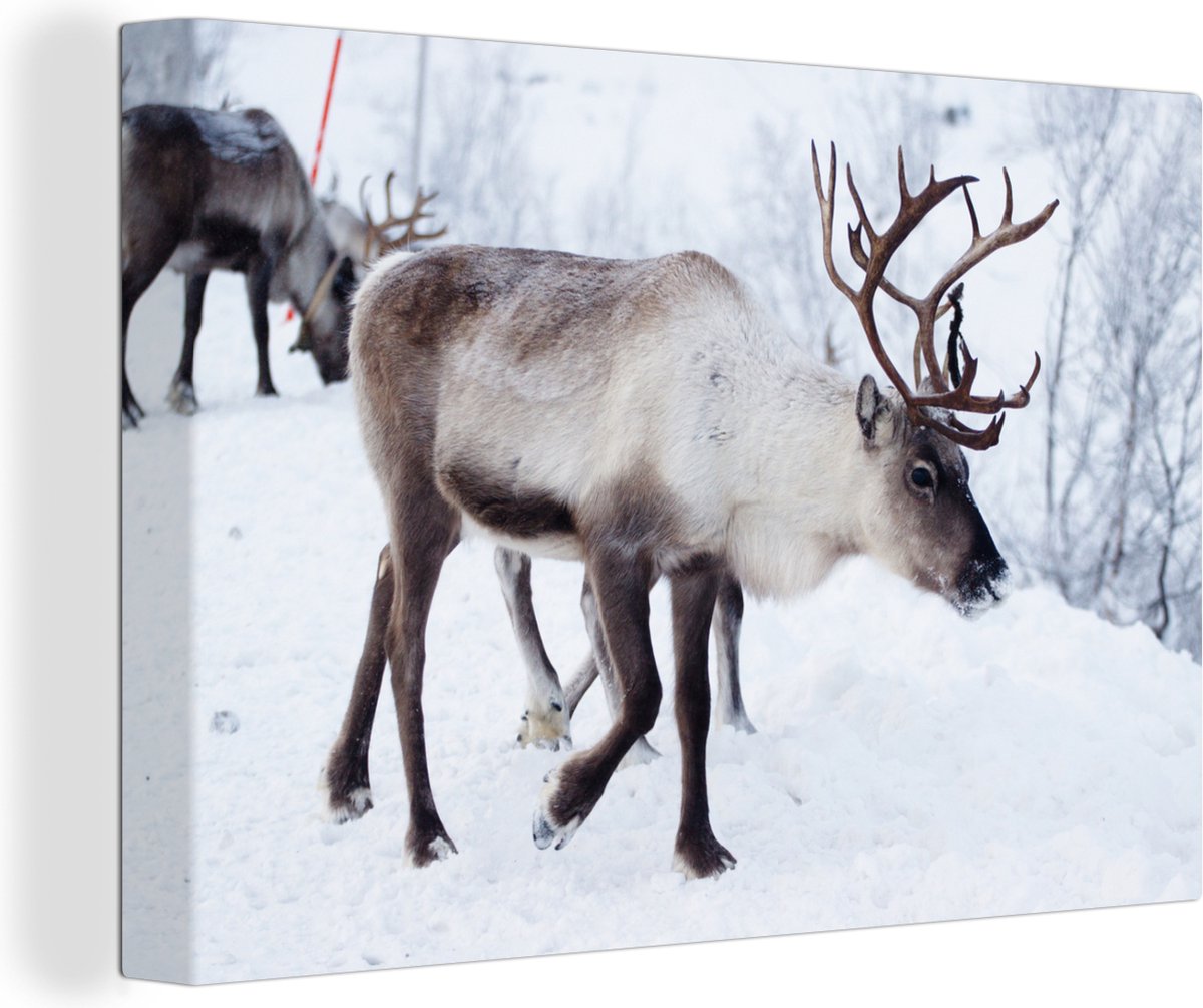 Canvas Schilderij Een kerstfoto van rendieren langs de wegen van het Finse Kilpisjarvi - 140x90 cm - Wanddecoratie