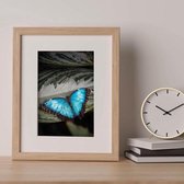 Poster Blauwe vlinder 13 x 18 cm.