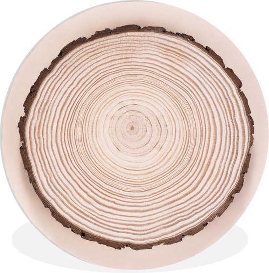 Les anneaux annuels d'un tronc d'arbre Assiette en plastique cercle mural ⌀  140 cm | bol