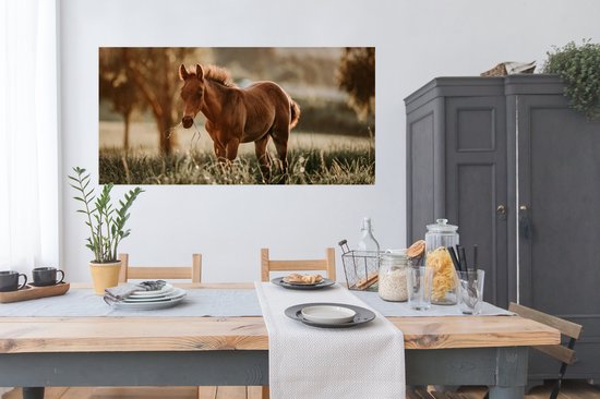 Affiche Cheval - Lumière - Prairie - 160x80 cm