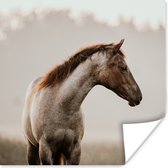 Poster Paard - Mist - Natuur - 50x50 cm