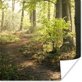 Poster Bos - Bomen - Pad - Zon - Planten - Bladeren - Natuur - 75x75 cm