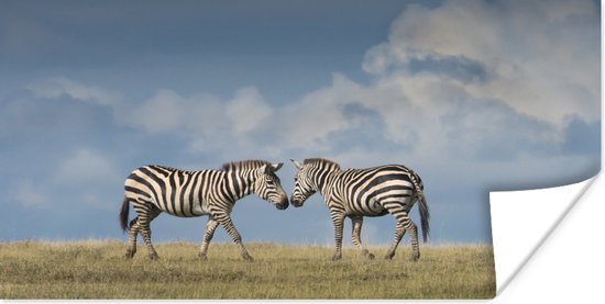 Poster Verliefde zebra's - 120x60 cm