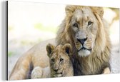Décoration murale Métal - Peinture Aluminium - Lion - Cub - Portrait - 80x40 cm