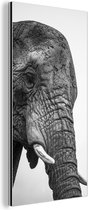 Wanddecoratie Metaal - Aluminium Schilderij Industrieel - Nieuwsgierige olifanten in zwart-wit - 80x160 cm - Dibond - Foto op aluminium - Industriële muurdecoratie - Voor de woonkamer/slaapkamer
