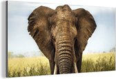 Wanddecoratie Metaal - Aluminium Schilderij Industrieel - Afrikaanse olifant vooraanzicht - 120x60 cm - Dibond - Foto op aluminium - Industriële muurdecoratie - Voor de woonkamer/slaapkamer