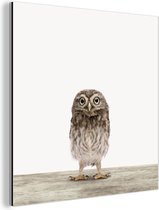 Décoration murale Métal - Peinture Aluminium Industriel - Chouette - Marron - Poussins Chouette - Enfants - Garçons - Filles - 90x90 cm - Dibond - Photo sur aluminium - Décoration murale industrielle - Pour le salon / chambre