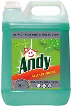 Andy Professional Allesreiniger 2 Liter