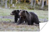 Twee beren in het moerras Poster 60x40 cm - Foto print op Poster (wanddecoratie woonkamer / slaapkamer) / Wilde dieren Poster