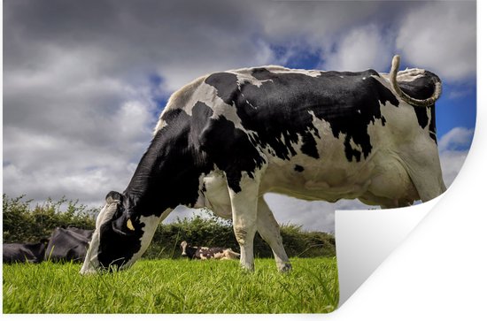 Muurstickers - Sticker Folie - Koe - Gras - Staart - Dieren - 90x60 cm - Plakfolie - Muurstickers Kinderkamer - Zelfklevend Behang - Zelfklevend behangpapier - Stickerfolie