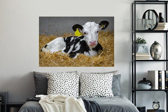 Sticker Muursticker Vache frisonne - Veau mignon de vache frisonne mensonges instro - 120x80 cm - film adhésif autocollant - sticker mural repositionnable