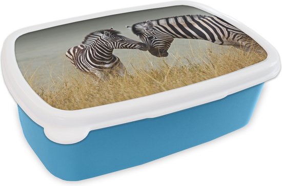 Broodtrommel Blauw - Lunchbox - Brooddoos - Moeder zebra en haar jong -  18x12x6 cm -... | bol.com
