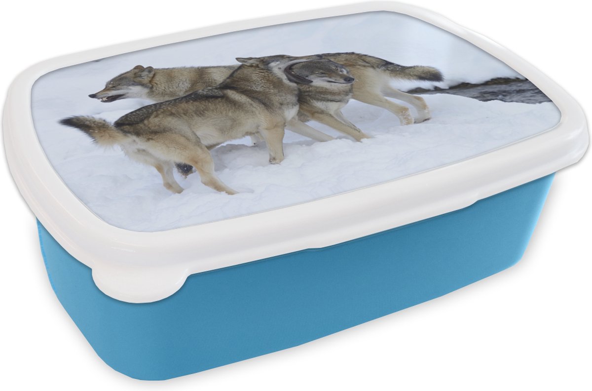 Broodtrommel Blauw - Lunchbox - Brooddoos - Wolf - Europa - Sneeuw - 18x12x6 cm - Kinderen - Jongen