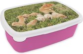 Broodtrommel Roze - Lunchbox - Brooddoos - Gouden hamster met jongen - 18x12x6 cm - Kinderen - Meisje