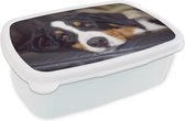 Broodtrommel Wit - Lunchbox - Brooddoos - Een Berner Sennenhond liggend op de bank - 18x12x6 cm - Volwassenen
