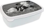Boîte à pain Wit - Boîte à lunch - Boîte à pain - Joli veau d'une vache frisonne allongé dans la paille - noir et blanc - 18x12x6 cm - Adultes