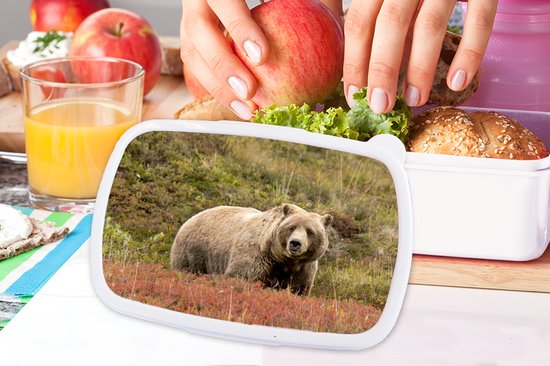 Broodtrommel Wit - Lunchbox - Brooddoos - Beer - Heide - Grizzly - 18x12x6 cm - Volwassenen