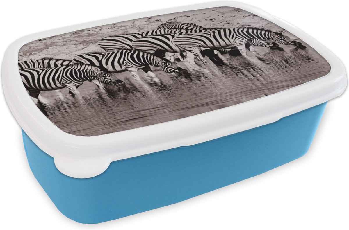 Broodtrommel Blauw - Lunchbox - Brooddoos - Zebra's in het water - 18x12x6 cm - Kinderen - Jongen
