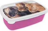 Broodtrommel Roze - Lunchbox - Brooddoos - Drie IJslander paarden in de sneeuw - 18x12x6 cm - Kinderen - Meisje