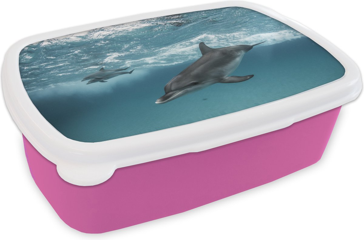 Broodtrommel Roze - Lunchbox - Brooddoos - Dolfijn - Water - Zee - 18x12x6 cm - Kinderen - Meisje
