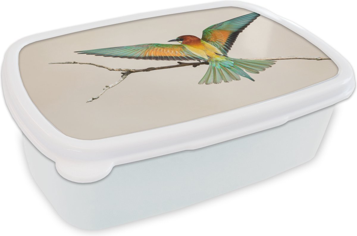 Broodtrommel Wit - Lunchbox - Brooddoos - Vogel - Tak - Groen - 18x12x6 cm - Volwassenen